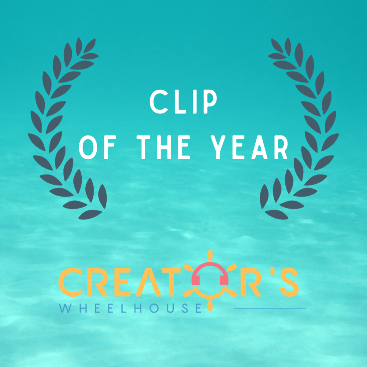 clip-of-the-year-shorts-reels-unedited-clips-organised-by