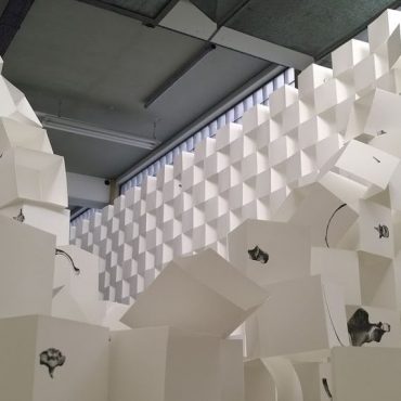 A Search for Structure