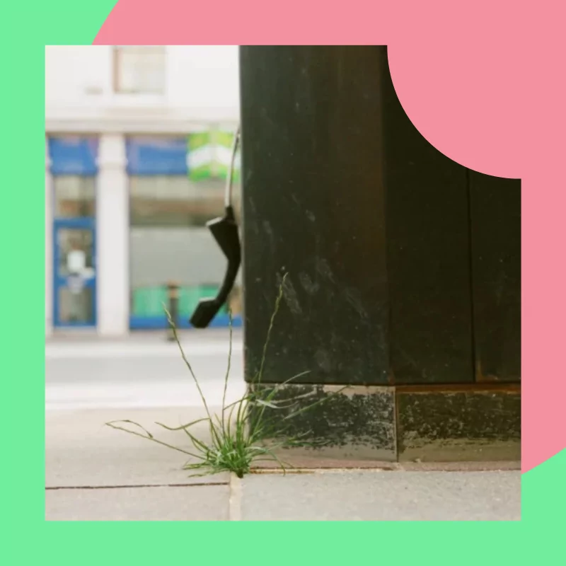 Meet our Zealous Amplify: Environment Winners