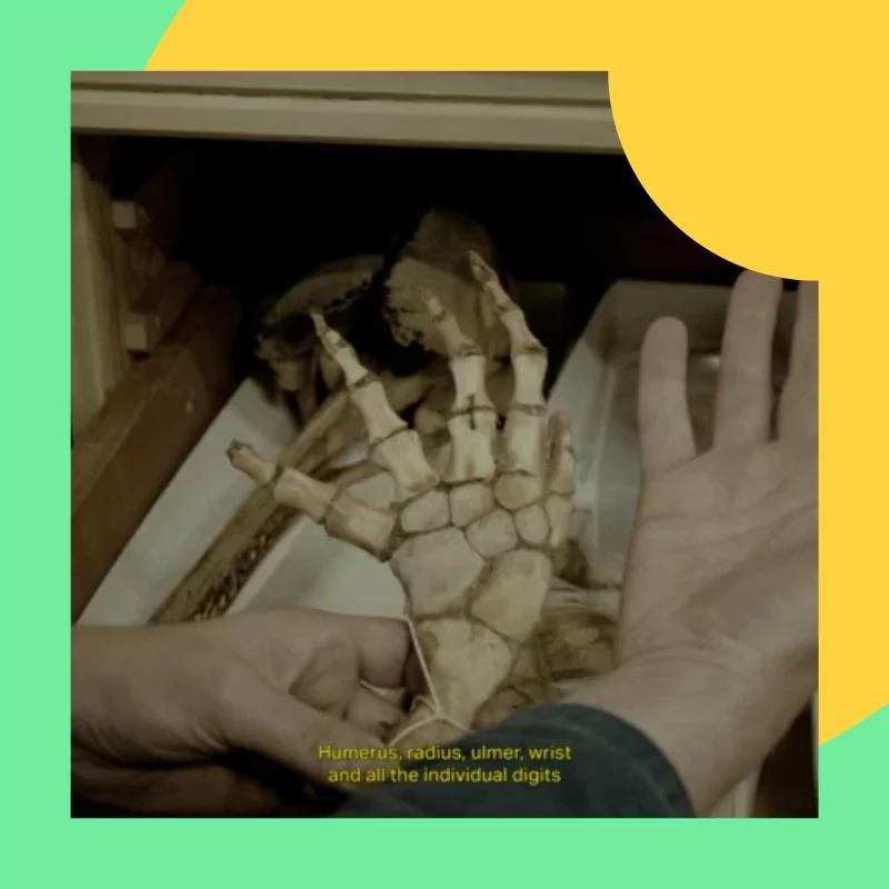 Deep in The Eye and The Belly