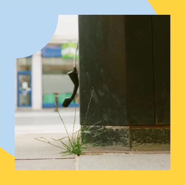 “Winning Amplify has given me confidence” –  Zillah Bowes Interview