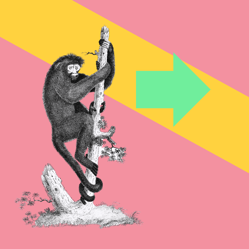Predictions for creative opportunities in 2025