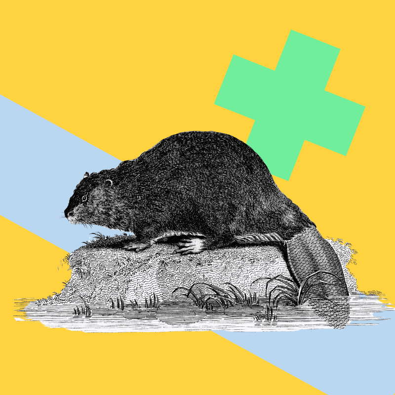 Choosing the best tools for managing submissions