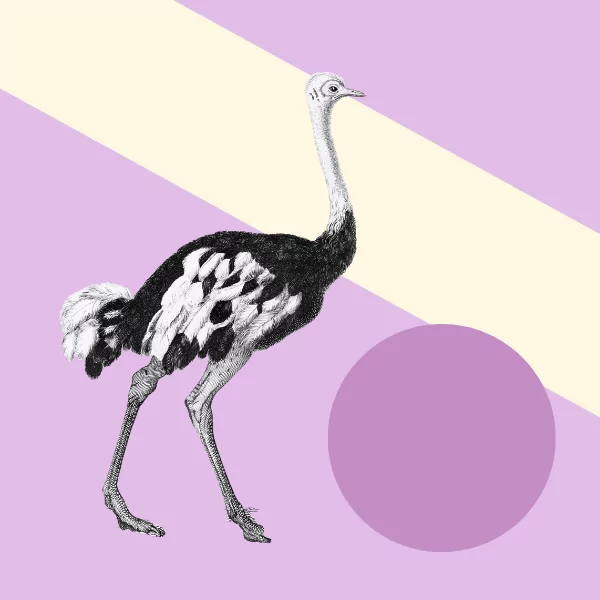 Top listing sites for your Photography Competition