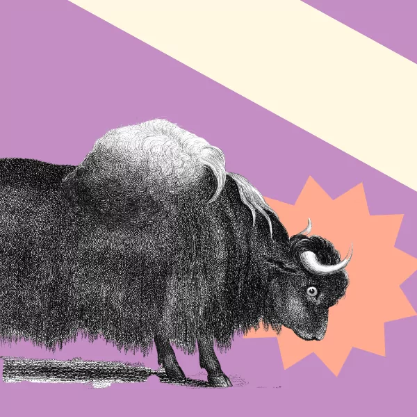 Top 5 Mistakes to Avoid When Organising Awards