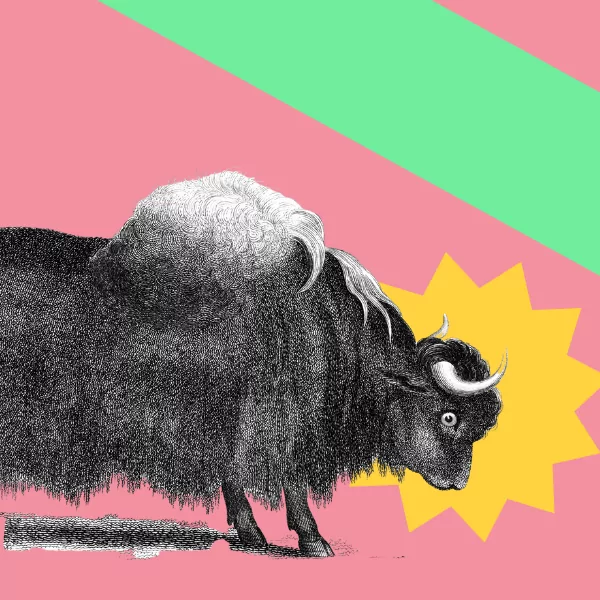 Grants For The Arts: A Funding Toolkit