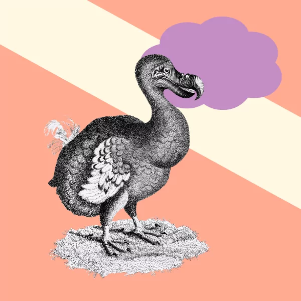 A step by step awards lifecycle planning guide