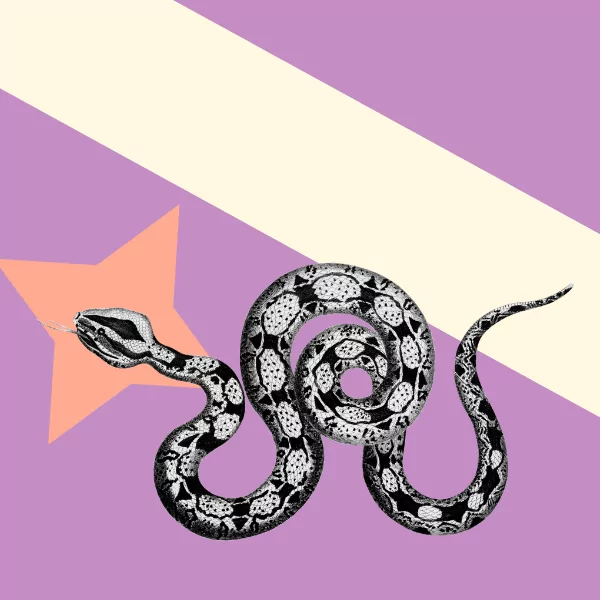 Explore Award & Competition Pricing Strategies