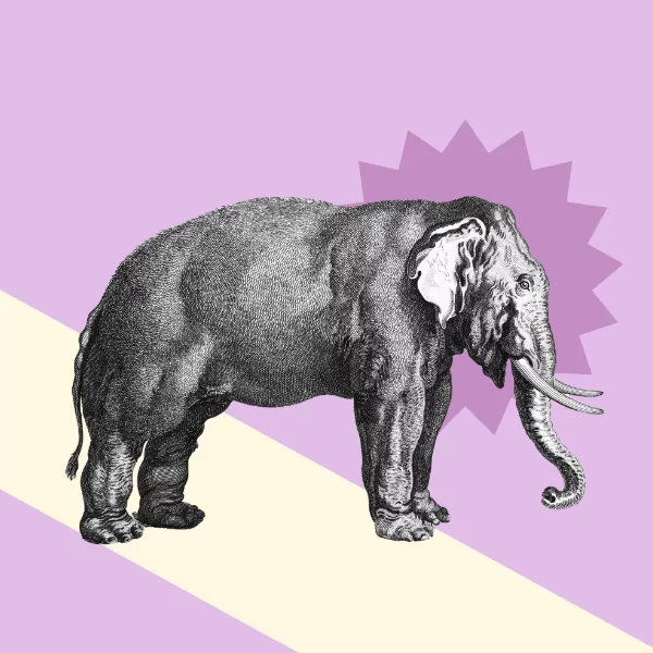 Drawing up your schedule