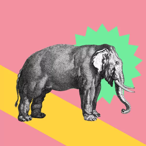 Making the perfect writing award application