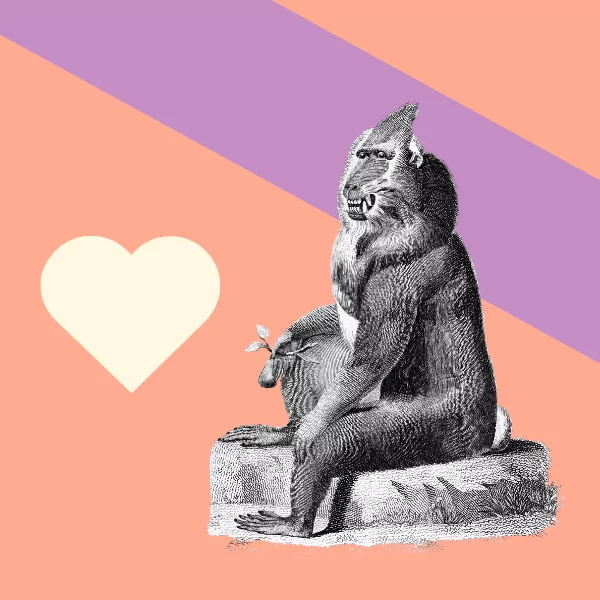 Key sites to list your design awards on