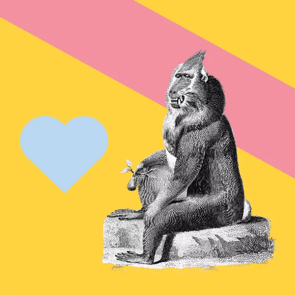 5 Creativity and Wellbeing tips