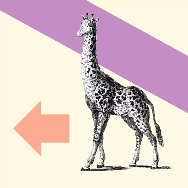 Creating purpose in isolation