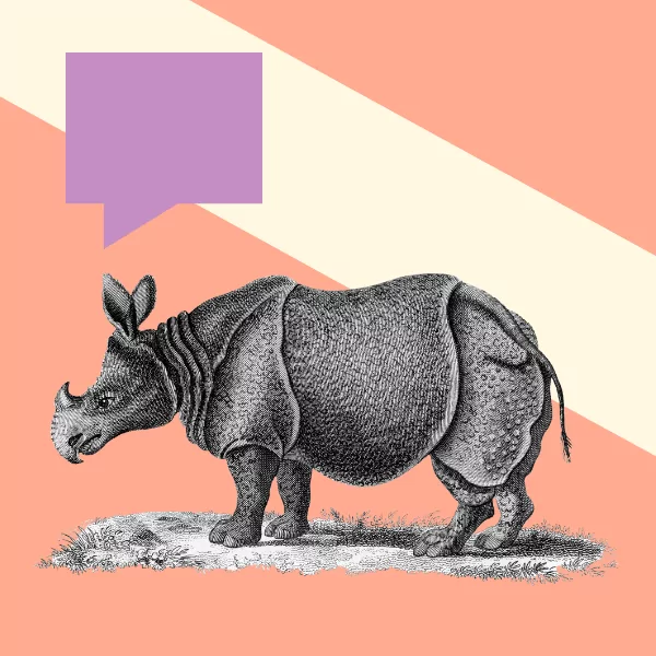 Writing Engaging Guidelines