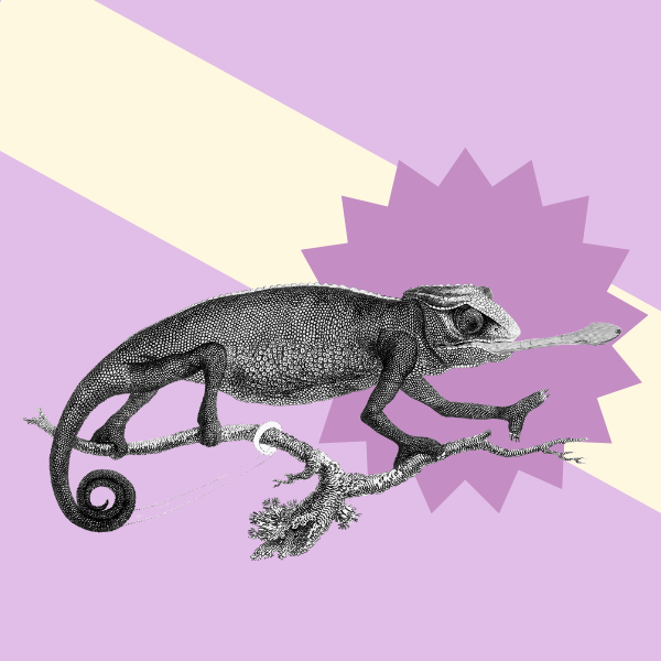 Automating Judging for your Awards and Competitions