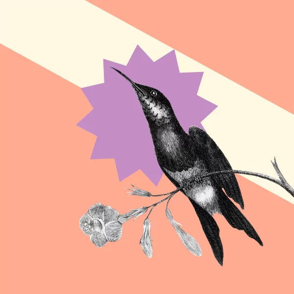 Writing the perfect guidelines for your competition