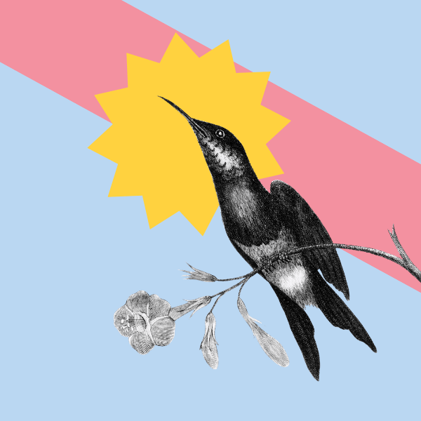 The Art of Asking: Getting Meaningful Feedback on Work