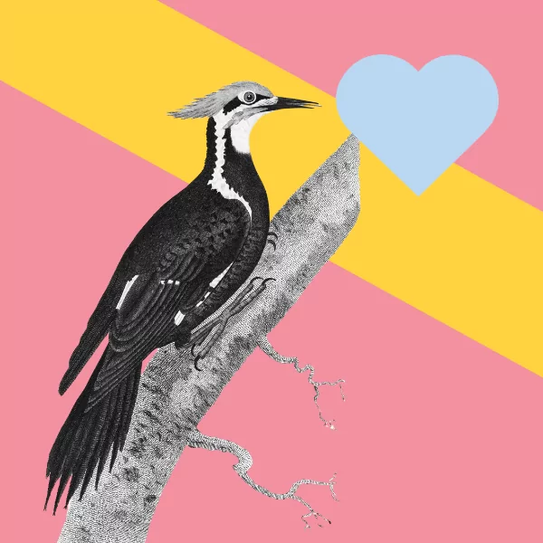 Artistic Resources for Working Class Creatives