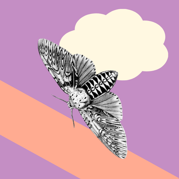 The best sites to list your art competition on