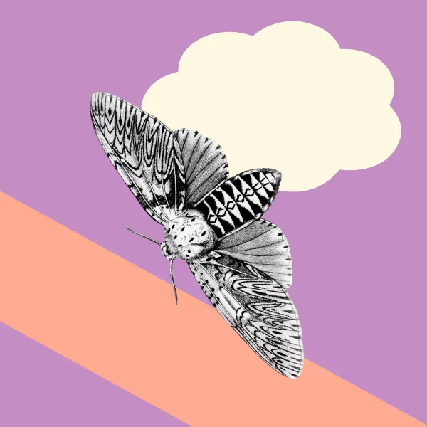 The best sites to list your art competition on