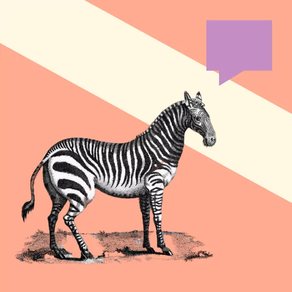 Marketing Your Opportunity (Interview)