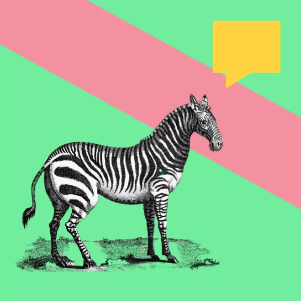 Creative Questions: How Do I Get My Name Out There?