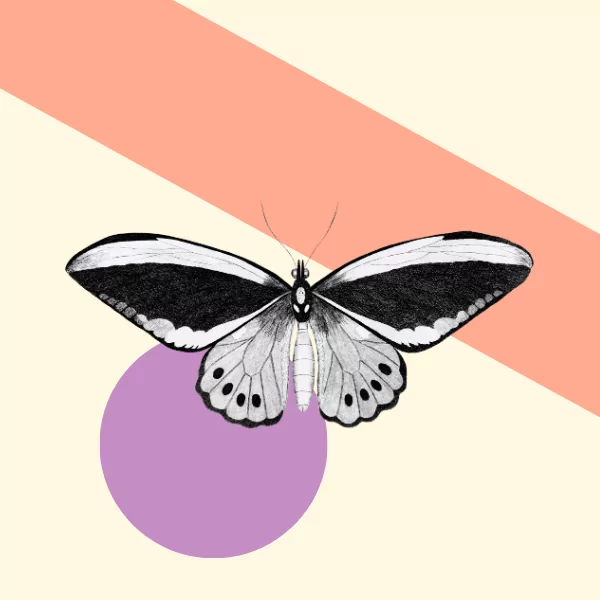 Award & Competition Prizes: The Essential Guide