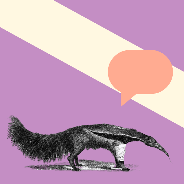 Choosing the best tools for managing submissions