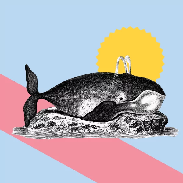 How To Feel Fulfilled Balancing Creative Passions And A Day Job