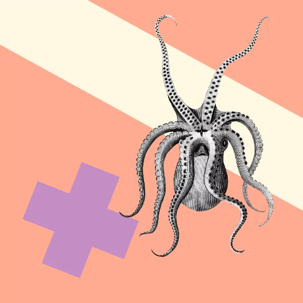 The Questionnaire Conundrum: Unraveling the Complexities of Audience Data