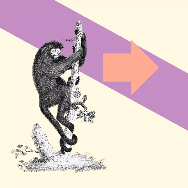 How to Define the Purpose of Your Awards Programme