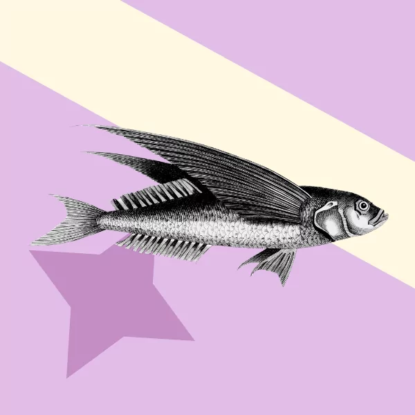 Top sites to list your writing competition on