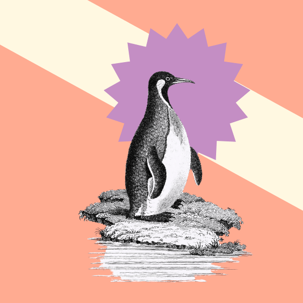 Reframing Open Calls: How To Create Non-Competitive Spaces