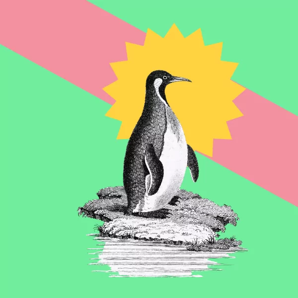 Perfecting Your Artist Statement for Awards & Submissions