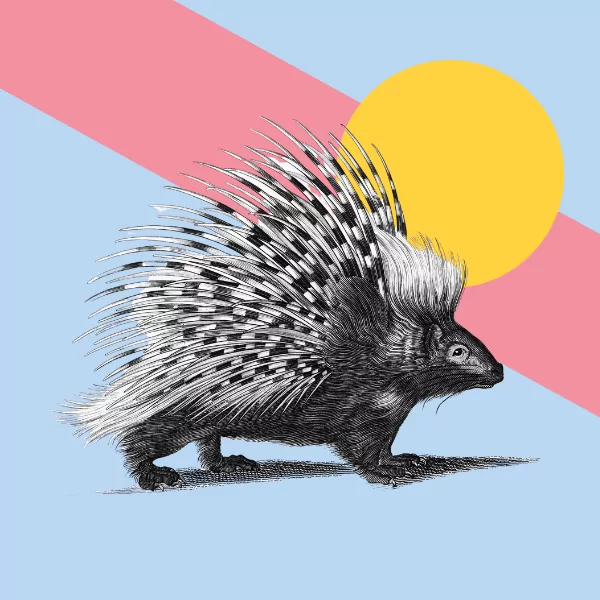 Freelancer Survival Guide