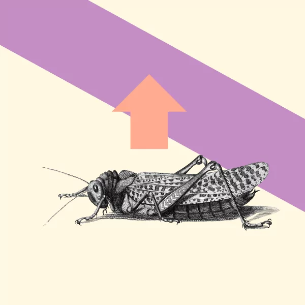 How to best schedule your open call