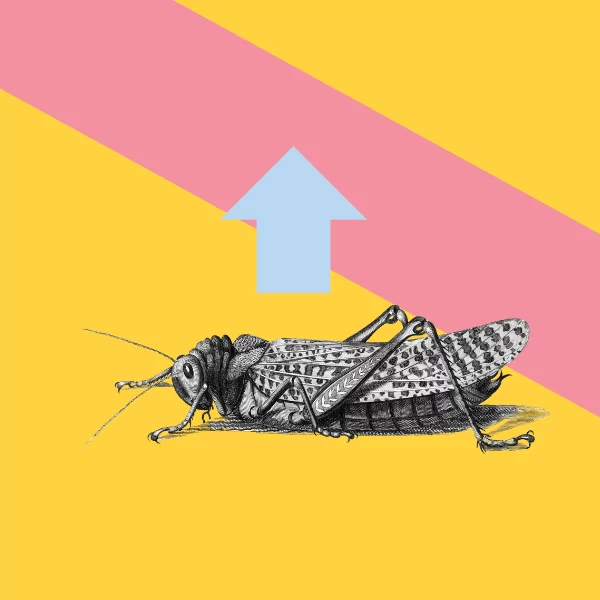 Website builders for creatives