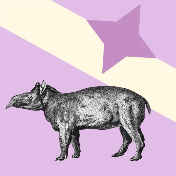 GDPR for Creative Organisations