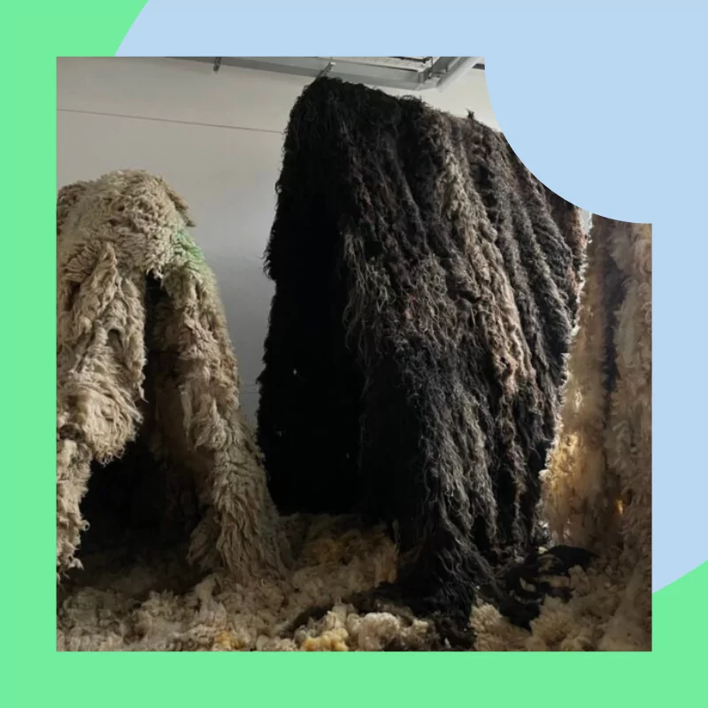 New BA Graduates To Watch Out For