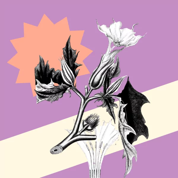 Guy Meets Michelle, Director at UK New Artists