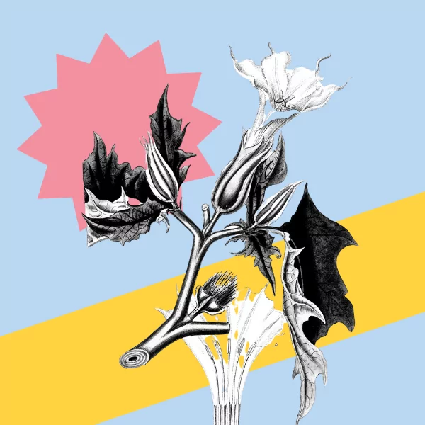 Creative Resources: Where to Get Your Grant