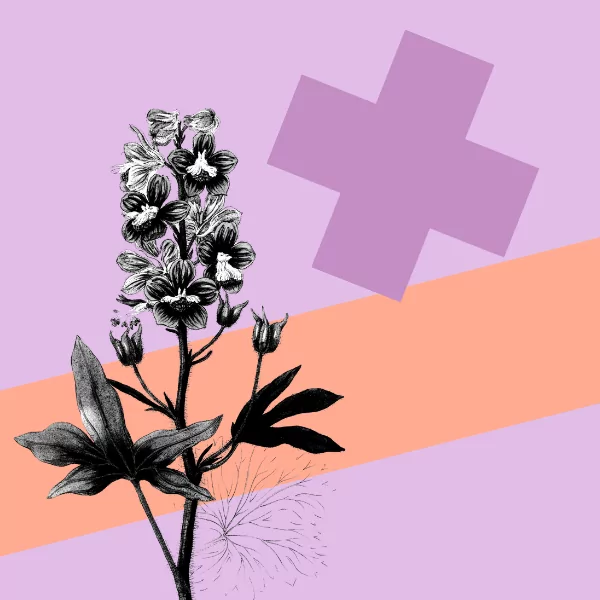 Increase submissions to your awards through trust