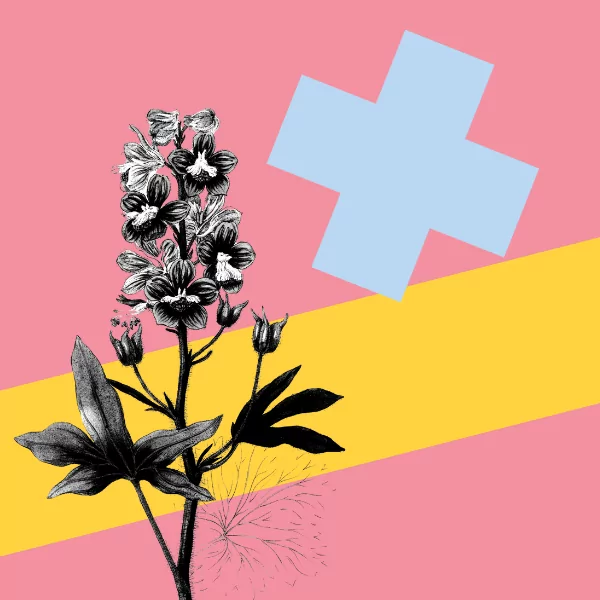 Creative Questions: Finding a Balance