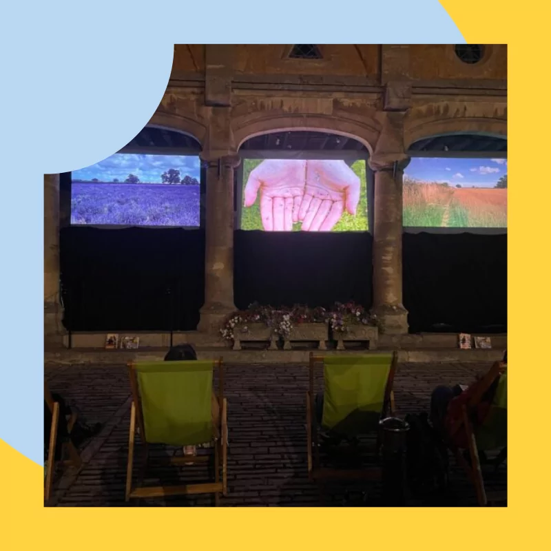 Social Gardening (The Mind at Rest)