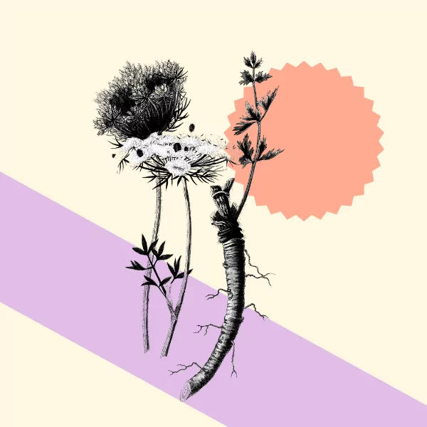 Marketing your Award Effectively (even on shoestring budgets)