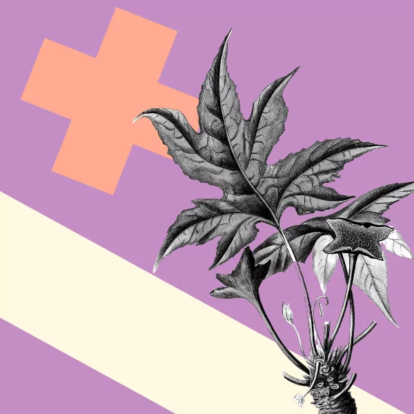 How To Run an Online Photo Contest (& Market It Like a Pro)