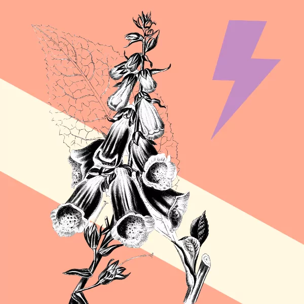 Creating opportunity in adversity