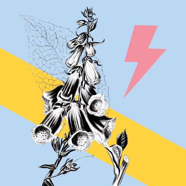 Writing An Artist Biography