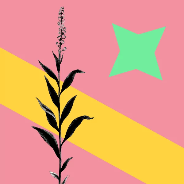 Supporting Growth Within Creative Communities