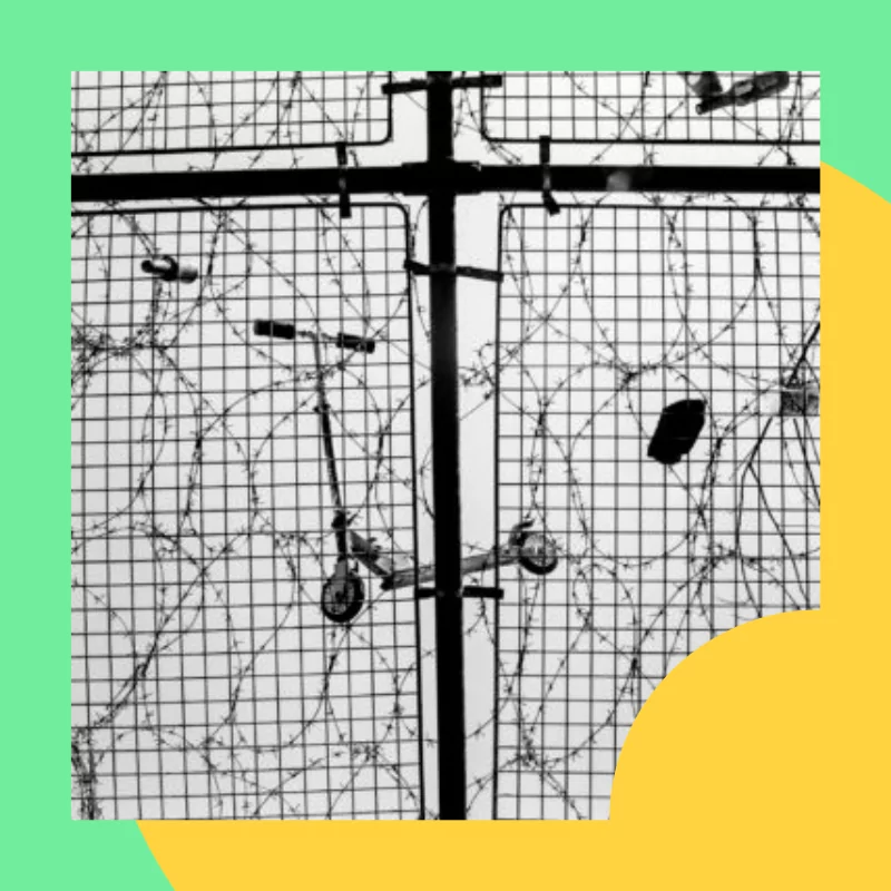 Wee Muckers – Youth of Belfast